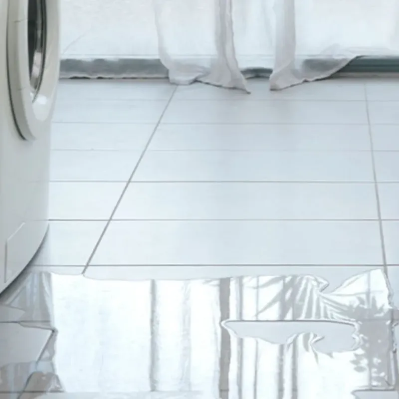 Appliance Leak Cleanup in Jasper County, IN