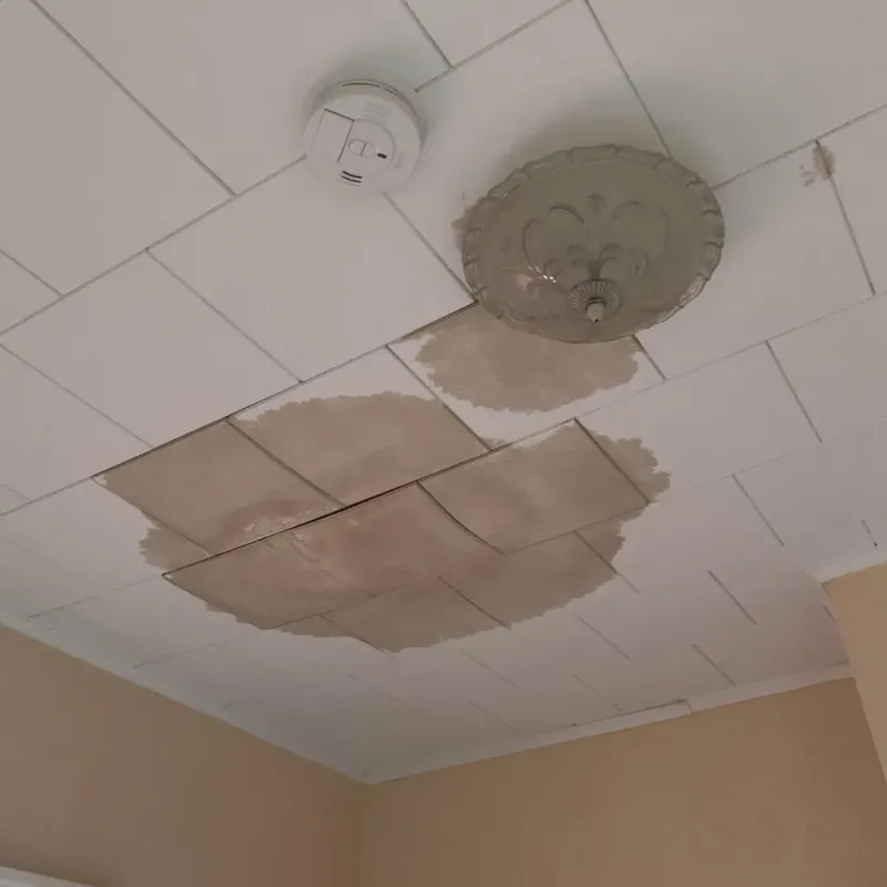 Ceiling Water Damage Repair in Jasper County, IN
