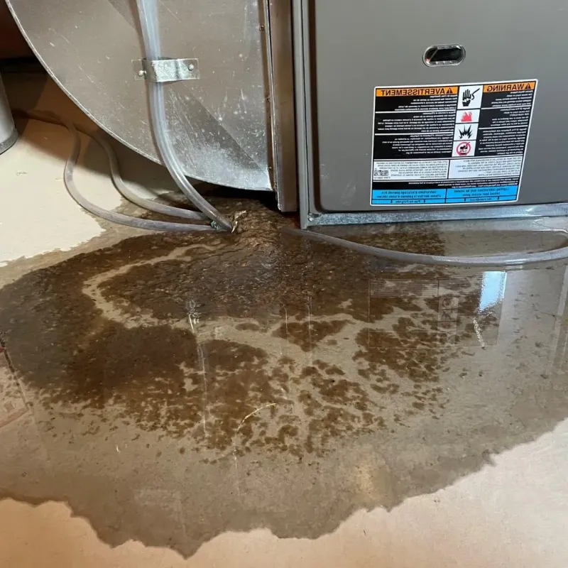 Pipe Burst and Leak Restoration in Jasper County, IN
