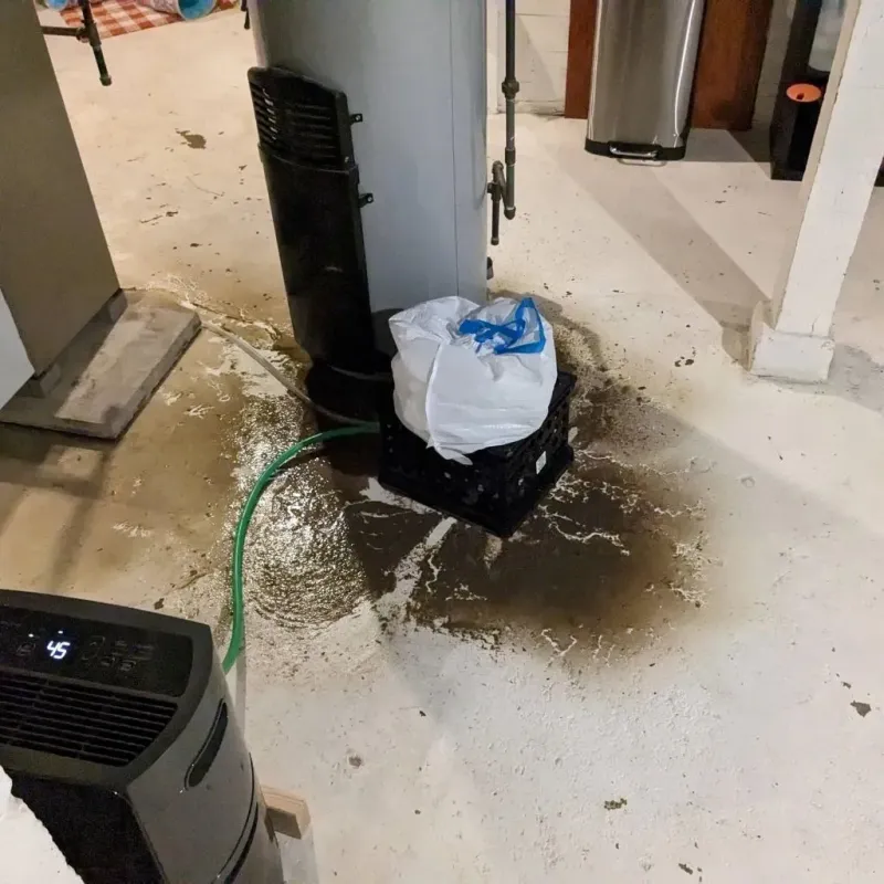 Sewage Backup Cleanup Service in Jasper County, IN